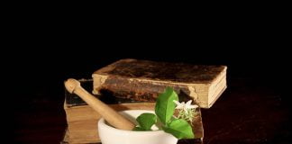 Cat de importanta este medicina naturista pentru sanatate