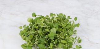 Germenii de creson, hrana vie superconcentrata in vitamine si minerale