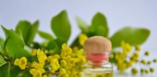 Cum scapam de obezitate prin tratamentul aromaterapeutic