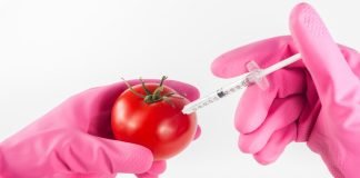 ATENTIE! Alimentele modificate genetic pot provoca tulburari gastrointestinale, infertilitate si pot afecta alte organe ATENTIE! Alimentele modificate genetic pot provoca tulburari gastrointestinale, infertilitate si pot afecta alte organe