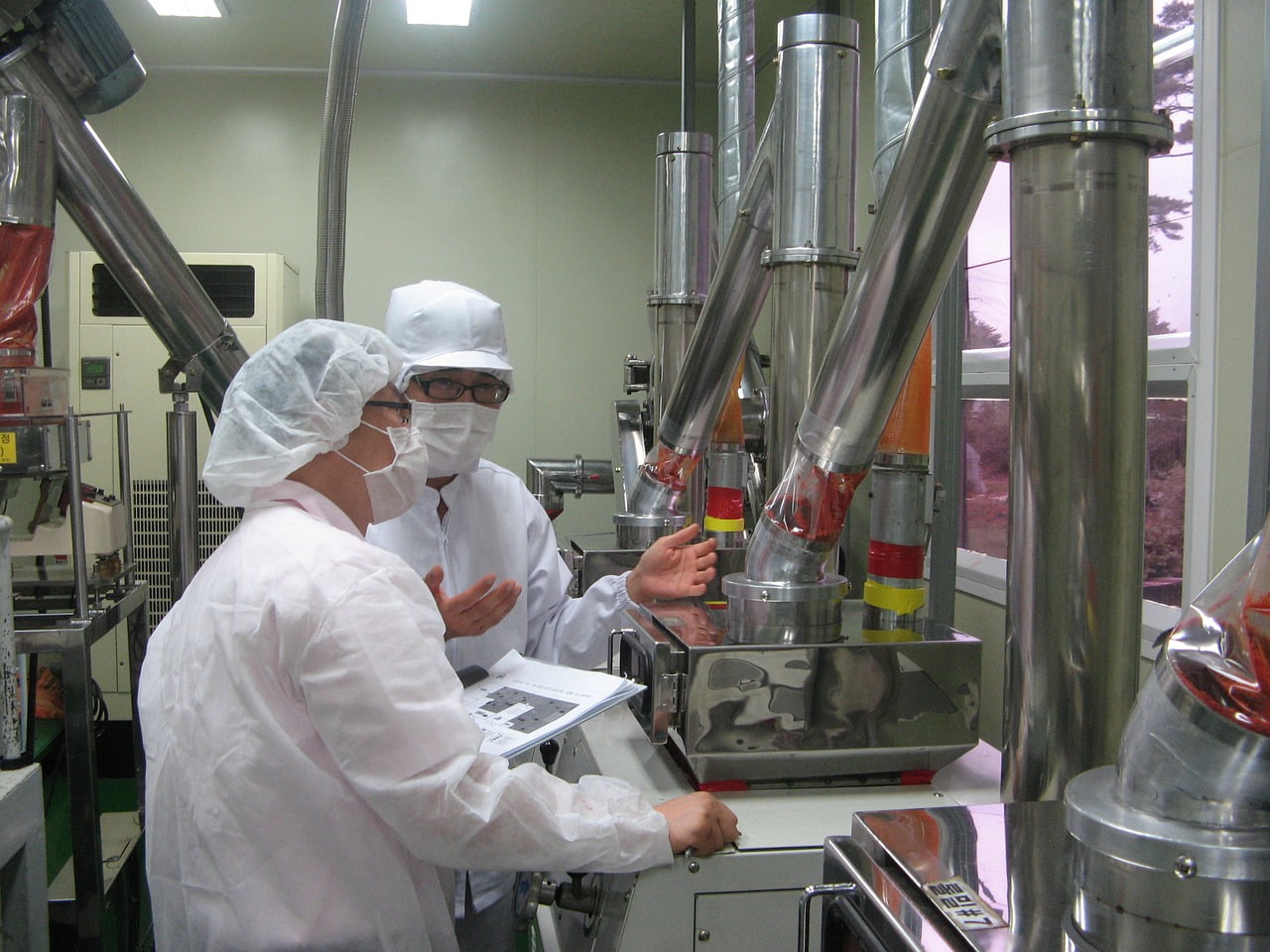 alimente procesate facute in laborator