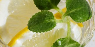 Ceai din flori de soc si frunze de menta pentru cresterea imunitatii