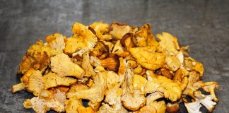 Ciuperci Chanterelle sau galbiori, o sursa importanta de vitamine, minerale si aminoacizi