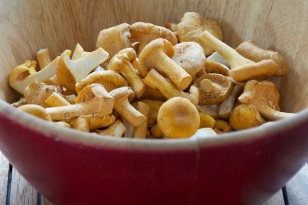 Ciupercile Chanterelle, Foto: langdoncook.com