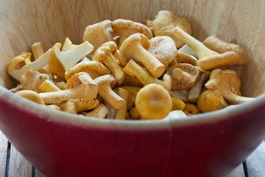 Ciupercile Chanterelle