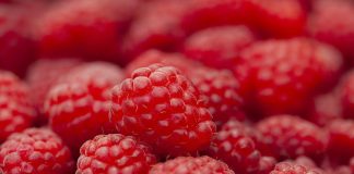 Dieta cu zmeura te ajuta sa slabesti 2-3 kg in 3 zile