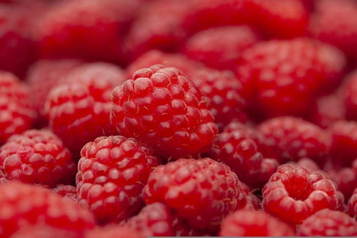 Dieta cu zmeura te ajuta sa slabesti 2-3 kg in 3 zile Dieta cu zmeura te ajuta sa slabesti 2-3 kg in 3 zile