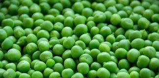 Mazarea verde - beneficii pentru sanatate