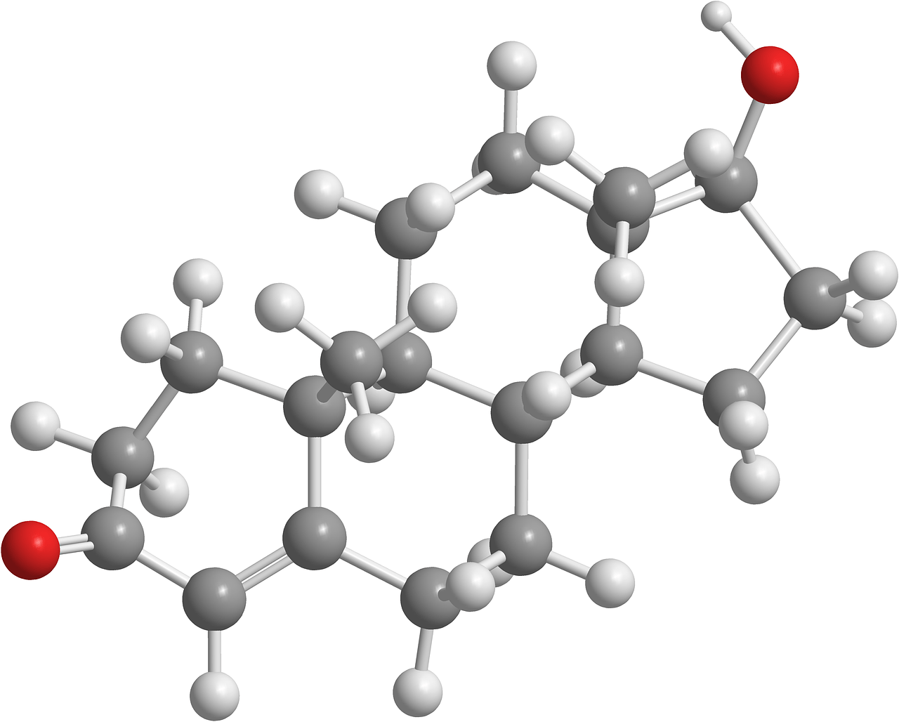 testosteron