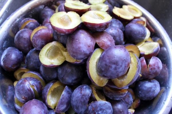 Prune, Foto: mountaingardengleanings.blogspot.ro