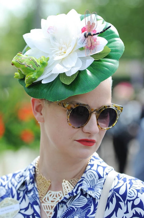 Pălărie cu nufăr, broscuță și libelulă, Foto: zaihuangeming.diandian.com