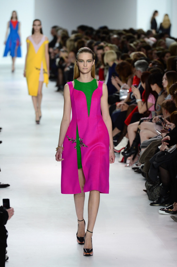 Rochie Christian Dior, Foto: mydaily.co.uk