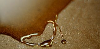 Uleiul din semințe de struguri este cel mai bogat ulei vegetal în acid linoleic