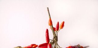 Ardeiul iute tratează afecțiunile provocate de umiditate și frig