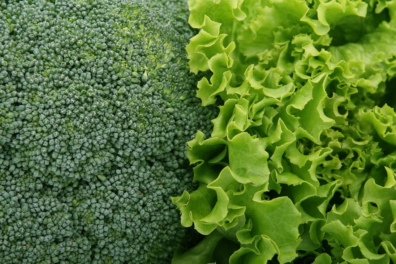 broccoli si salata
