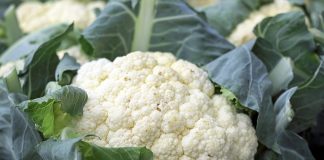 Sucul de conopidă ajută la scăderea în greutate