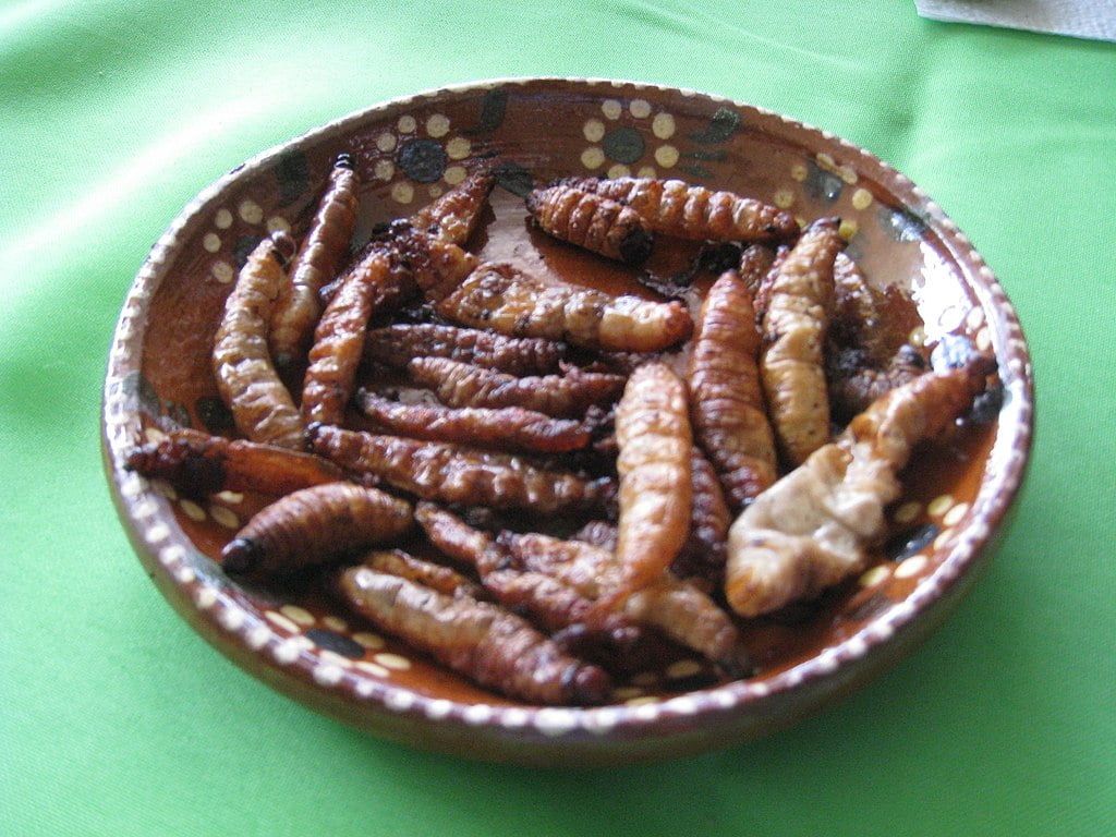 mancare de furnici