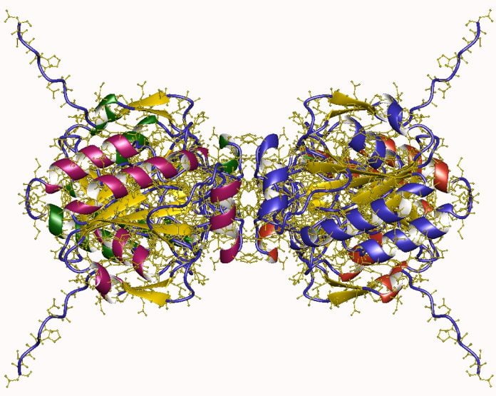 Glutation - un puternic antioxidant produs de ficat Glutation - un puternic antioxidant produs de ficat
