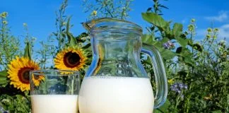 Caseina din lactate, proteină periculoasă pentru sănătate