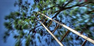 Amețelile și vertijurile îți afectează viața? Scapă de vertij cu ajutorul suplimentelor esențiale naturale Amețelile și vertijurile îți afectează viața Scapă de vertij cu ajutorul suplimentelor esențiale naturale