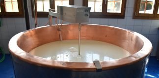 Află cât de util este zerul pentru sănătate, care sunt beneficiile lui asupra pielii, unghiilor și părului!