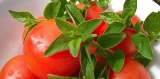 Ketchup dulce-acrișor, delicios, organic și sănătos – Află cât de simplu se realizează și ce beneficii are pentru organism!