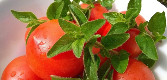 Ketchup dulce-acrișor, delicios, organic și sănătos – Află cât de simplu se realizează și ce beneficii are pentru organism! Ketchup dulce-acrișor, delicios, organic și sănătos – Află cât de simplu se realizează și ce beneficii are pentru organism!