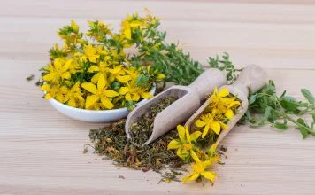 Roinița și sunătoarea, plante medicinale care alungă stările de nervozitate și de disconfort emoțional Roinița și sunătoarea, plante medicinale care alungă stările de nervozitate și de disconfort emoțional