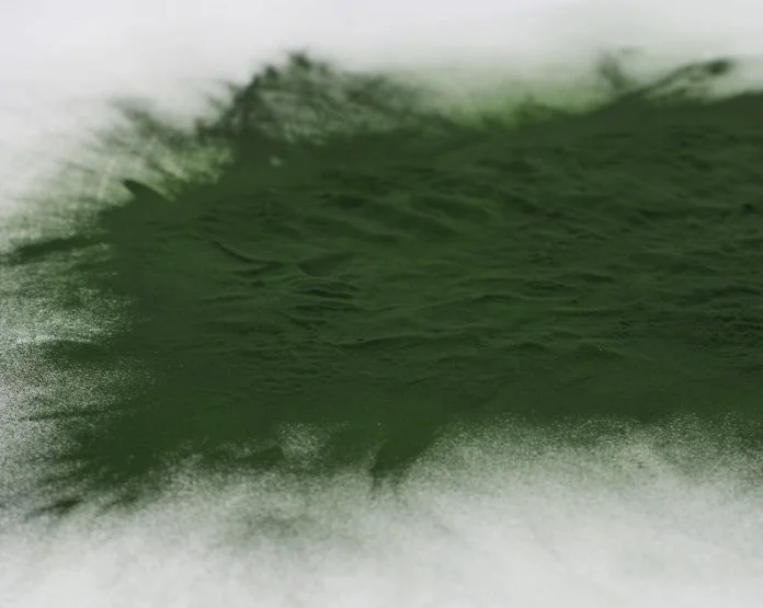 Alga verde Chlorella și spirulina, surse importante de aminoacizi esențiali și clorofilă Alga verde Chlorella și spirulina, surse importante de aminoacizi esențiali și clorofilă