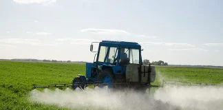 Atenție la pesticidele care se aplică pe legume și fructe