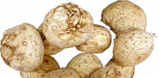 Rădăcina de țelină – o legumă utilă pentru funcționarea creierului