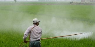 Știați ca pesticidele pot produce cancer și sunt toxice pentru sistemul nervos? Știați ca pesticidele pot produce cancer și sunt toxice pentru sistemul nervos