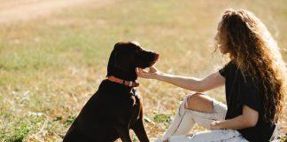 Mângâierea animalelor – efect terapeutic în tratamentul stresului Mângâierea animalelor – efect terapeutic în tratamentul stresului