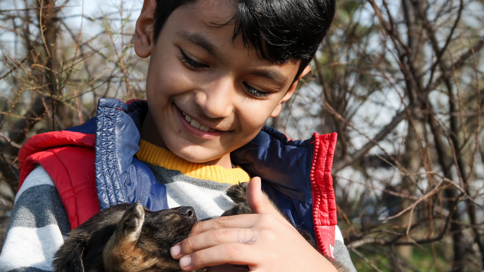 un copil atinge un caine, terapie