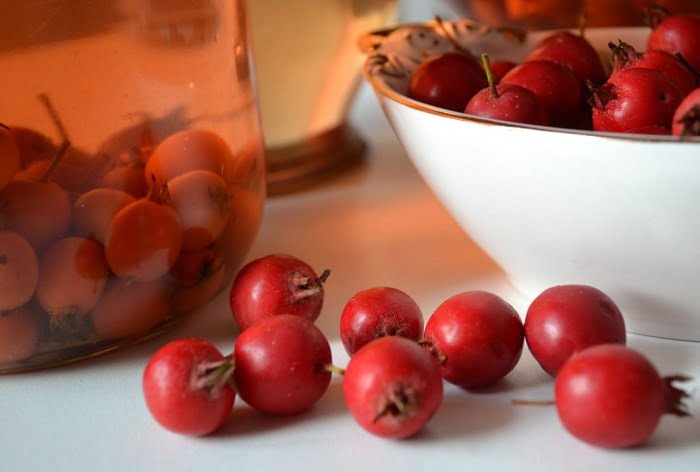 3-fructe-paducel