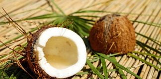 Află lucruri interesante despre nuca de cocos care te vor ajuta să slăbești