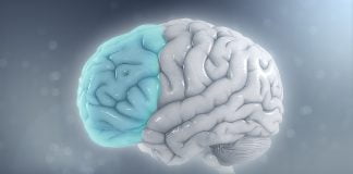 Cum se manifestă tulburarea hiperkinetică cu deficit de atenție la adulți ADHD-ul este o problema de comportament