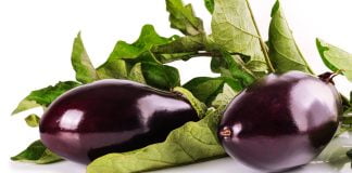 Vinetele – legume pentru longevitate, sănătoase și sărace în calorii