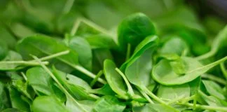 O dietă drastică influențează căderea părului – Iată ce este indicat să consumi pentru a avea un păr frumos și bogat