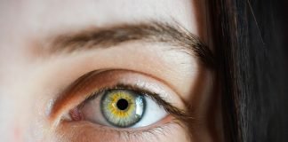 Ochii sunt singurele organe ale corpului uman care funcționează 100% în fiecare moment Ochii sunt singurele organe ale corpului uman care funcționează 100% în fiecare moment