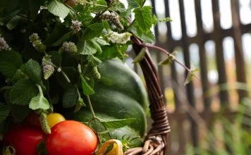 Află cum se introduc în dietă noi alimente sănătoase Află cum se introduc în dietă noi alimente sănătoase