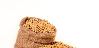 De ce este bine să eliminăm produsele din soia din alimentație
