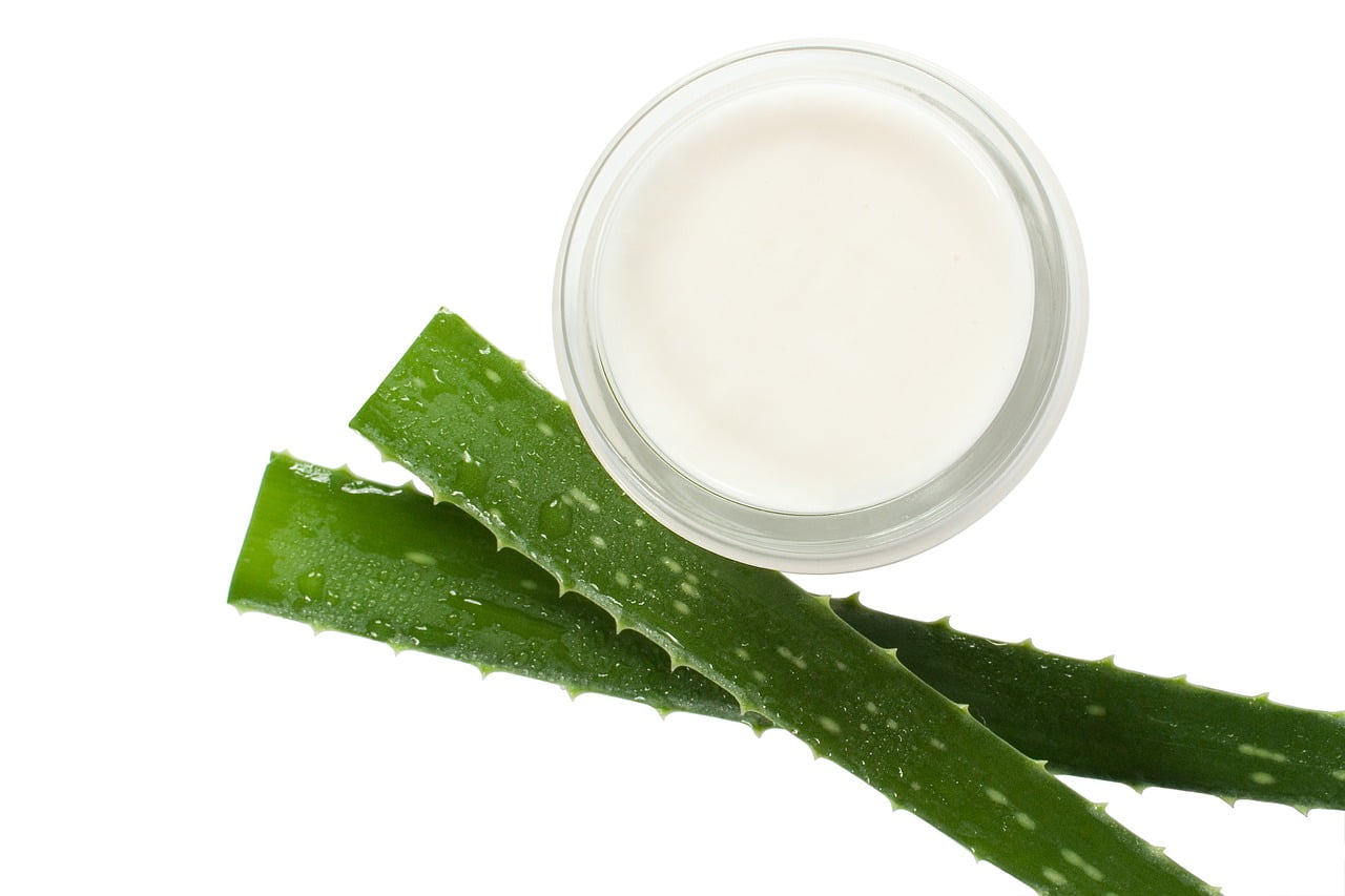 aloe vera