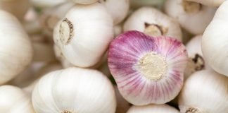 Află ce remedii naturale există pentru prevenirea răcelii, guturaiului, tusei și a altor afecțiuni din sezonul rece Află ce remedii naturale există pentru prevenirea răcelii, guturaiului, tusei și a altor afecțiuni din sezonul rece