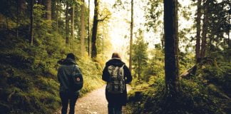 De ce ne simțim mai bine și mai relaxați când facem plimbări prin pădure? De ce ne simțim mai bine și mai relaxați când facem plimbări prin pădure
