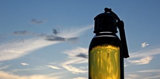 Uleiul de argan – Cel mai bun balsam pentru păr Uleiul de argan - Cel mai bun balsam pentru păr