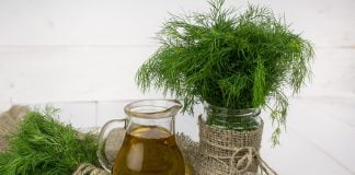 Fitoestrogenii - Plante ce acționează în zona echilibrării hormonale