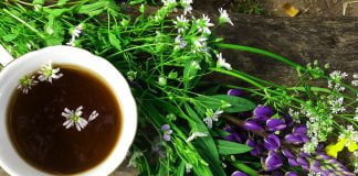 10 ceaiuri din plante medicinale care te ajută să slăbești