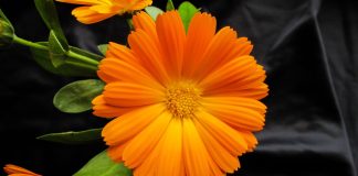 Scapă de semnele pe care vara ți le-a lăsat pe față!