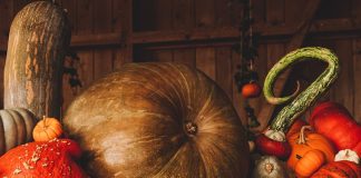Principalele beneficii ale consumului de semințe de dovleac – Bogate în vitamine și minerale Principalele beneficii ale consumului de semințe de dovleac – Bogate în vitamine și minerale